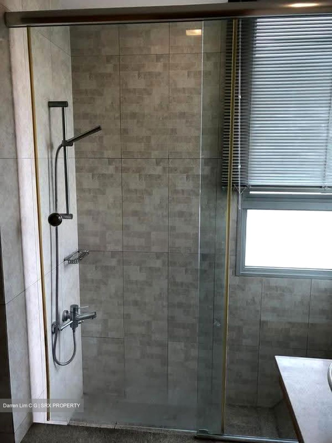 The Lakeshore (D22), Condominium #623642711